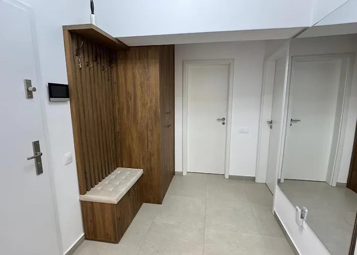 Tomy Qualis * Brasov